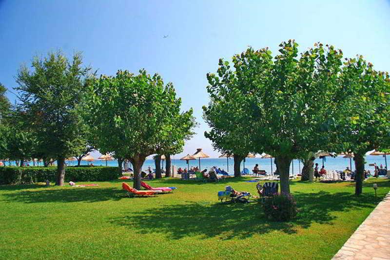Delfinia 4* Moraḯtika
