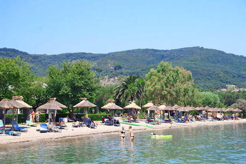 Hotel Delfinia 4*